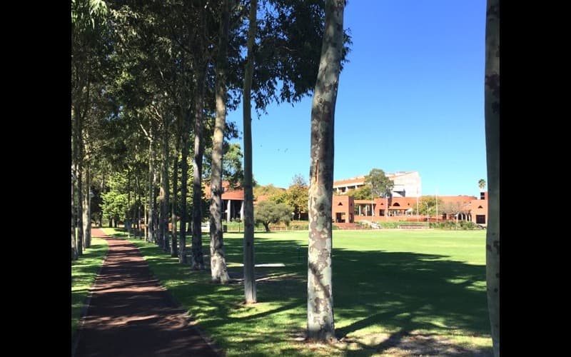 Curtin University
